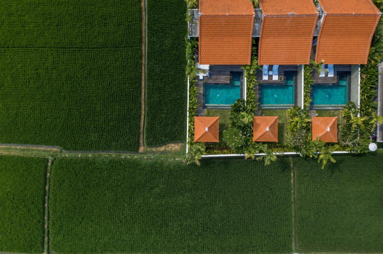 Sawah Villas Убуд Екстериор снимка