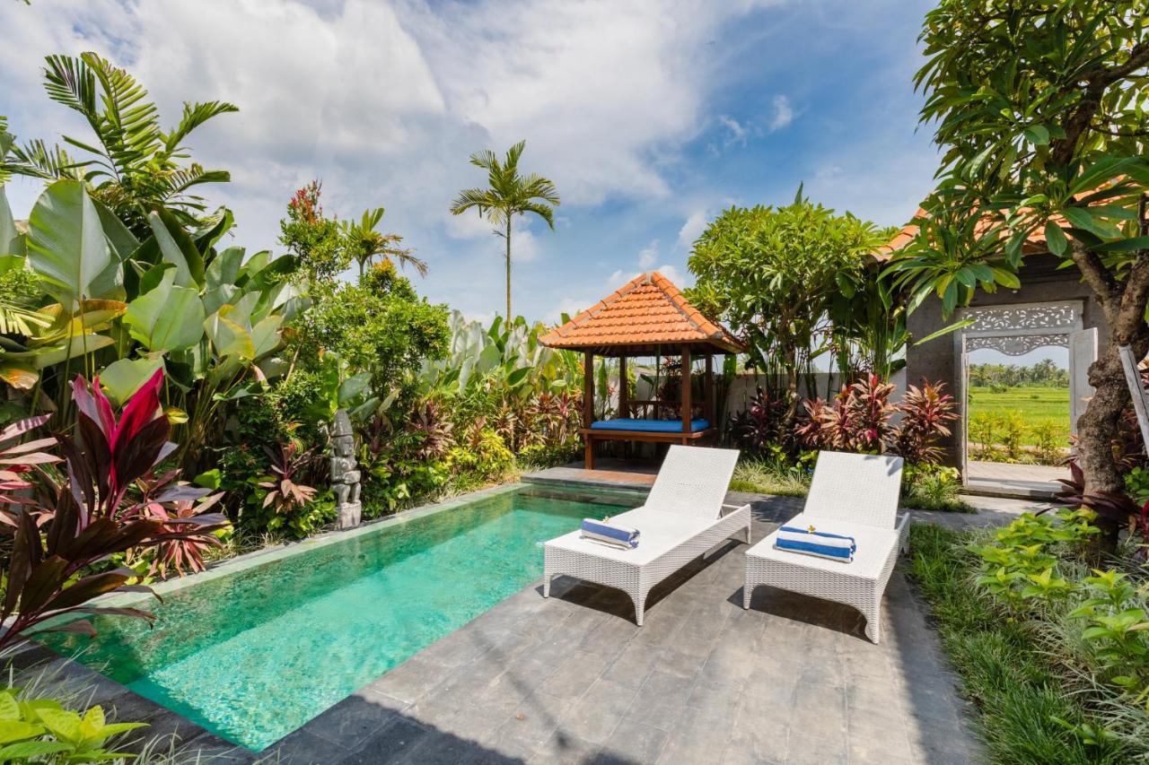 Sawah Villas Убуд Екстериор снимка